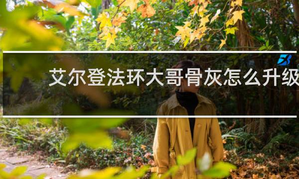 艾尔登法环大哥骨灰怎么升级