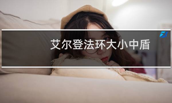 艾尔登法环大小中盾