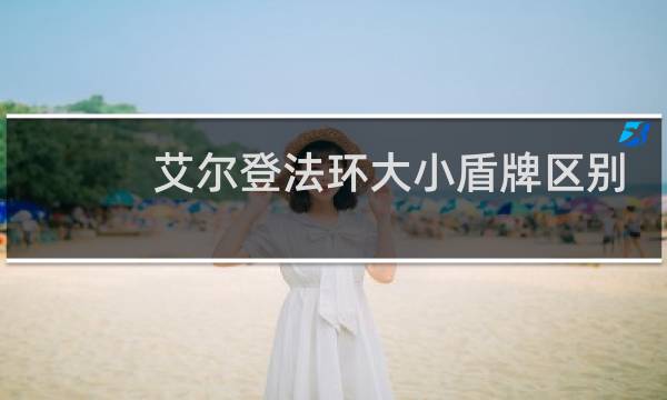 艾尔登法环大小盾牌区别