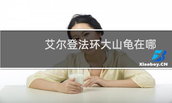 艾尔登法环大山龟在哪