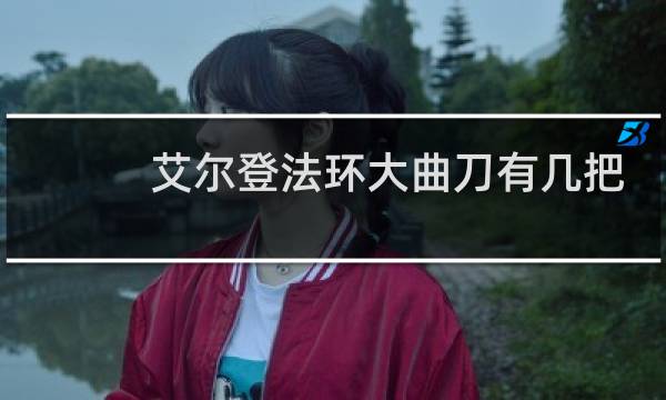 艾尔登法环大曲刀有几把