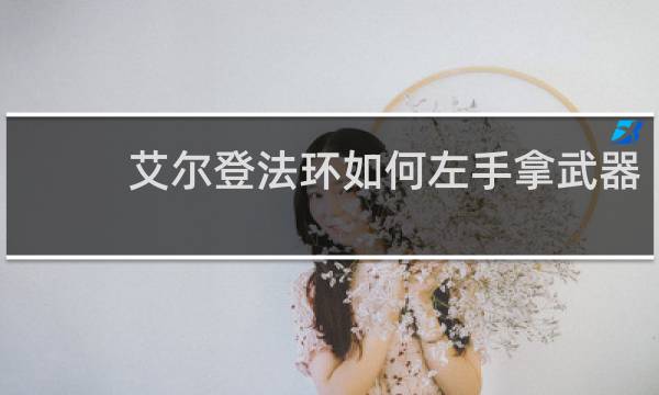 艾尔登法环如何左手拿武器