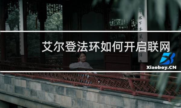 艾尔登法环如何开启联网