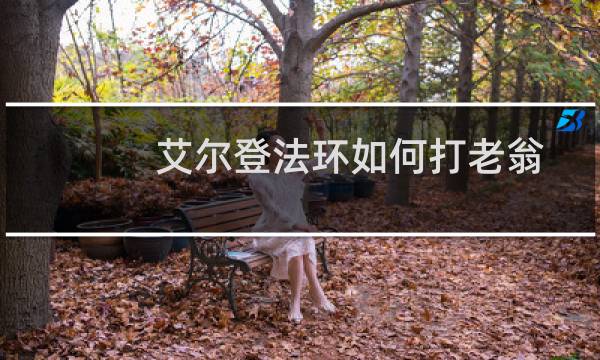 艾尔登法环如何打老翁