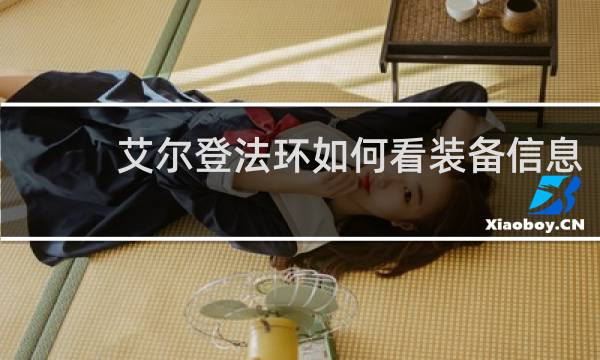 艾尔登法环如何看装备信息