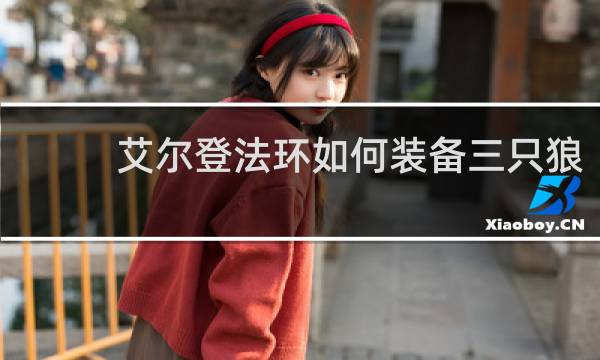 艾尔登法环如何装备三只狼