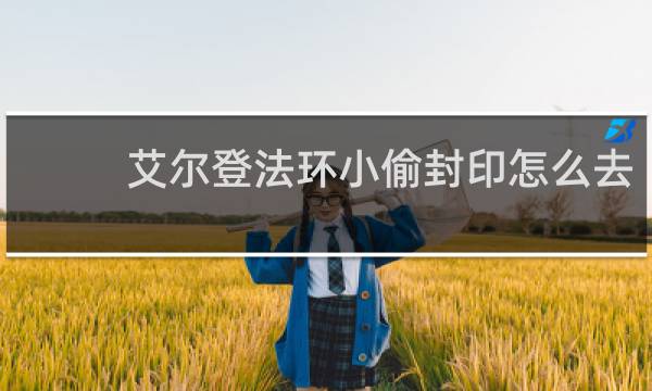 艾尔登法环小偷封印怎么去