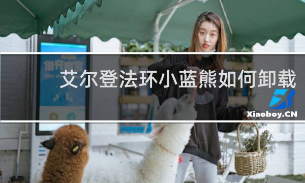 艾尔登法环小蓝熊如何卸载