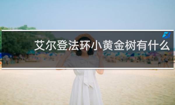 艾尔登法环小黄金树有什么