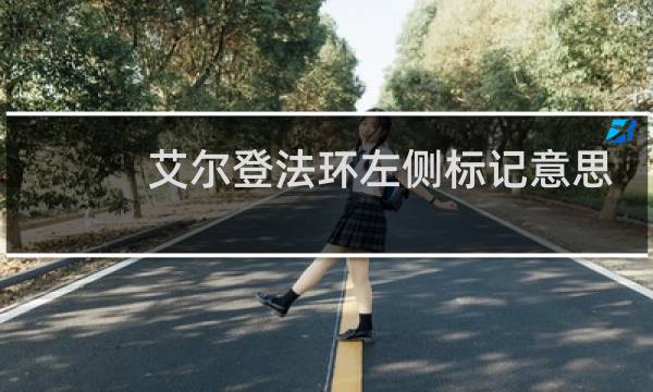艾尔登法环左侧标记意思