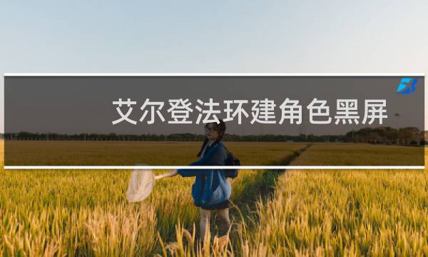 艾尔登法环建角色黑屏