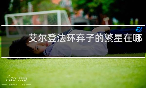 艾尔登法环弃子的繁星在哪