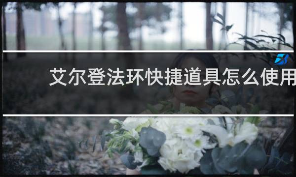 艾尔登法环快捷道具怎么使用