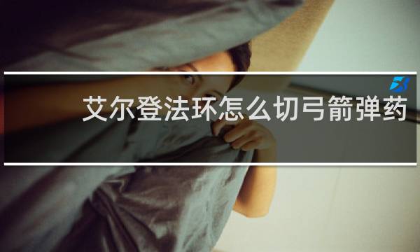 艾尔登法环怎么切弓箭弹药