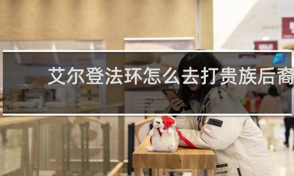 艾尔登法环怎么去打贵族后裔