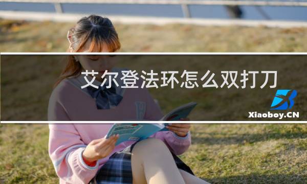 艾尔登法环怎么双打刀