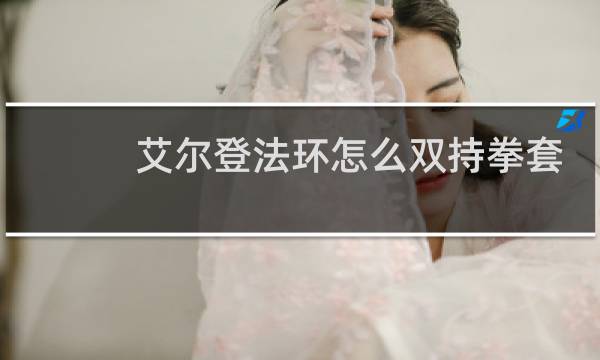 艾尔登法环怎么双持拳套