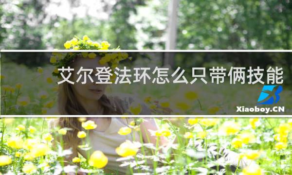 艾尔登法环怎么只带俩技能