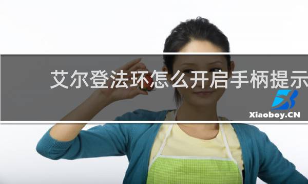 艾尔登法环怎么开启手柄提示