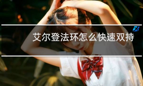 艾尔登法环怎么快速双持