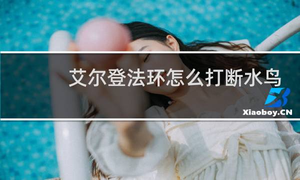 艾尔登法环怎么打断水鸟