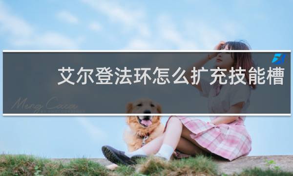 艾尔登法环怎么扩充技能槽