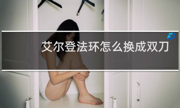 艾尔登法环怎么换成双刀