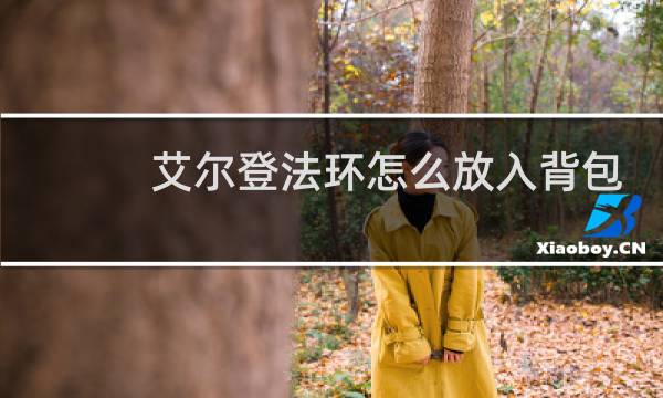 艾尔登法环怎么放入背包