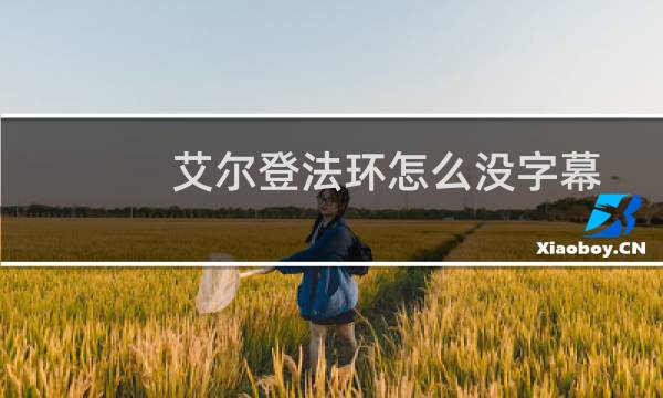 艾尔登法环怎么没字幕