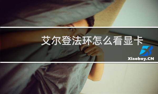 艾尔登法环怎么看显卡