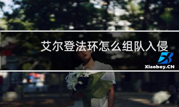 艾尔登法环怎么组队入侵