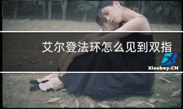 艾尔登法环怎么见到双指