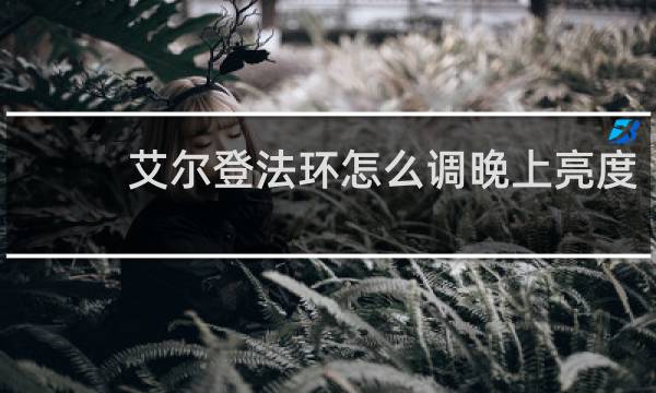 艾尔登法环怎么调晚上亮度