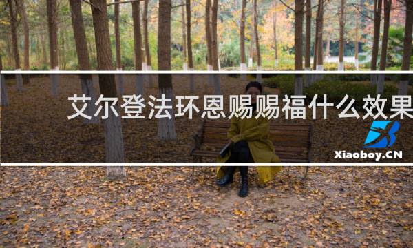艾尔登法环恩赐赐福什么效果