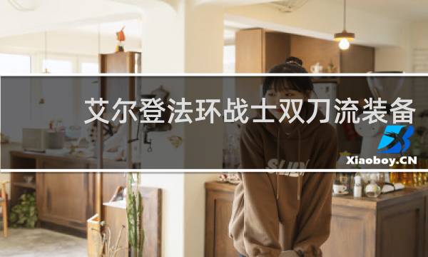 艾尔登法环战士双刀流装备