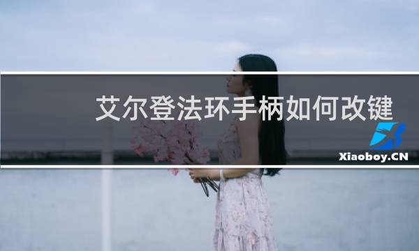 艾尔登法环手柄如何改键