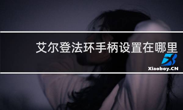 艾尔登法环手柄设置在哪里