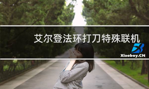 艾尔登法环打刀特殊联机