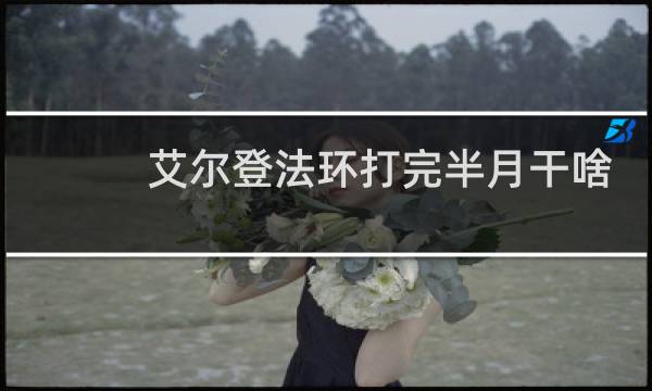 艾尔登法环打完半月干啥