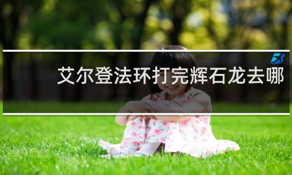 艾尔登法环打完辉石龙去哪