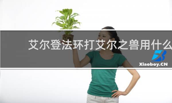 艾尔登法环打艾尔之兽用什么
