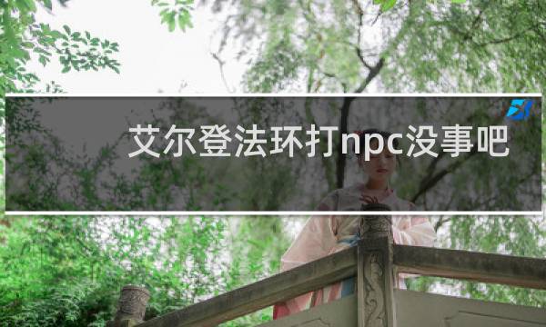 艾尔登法环打npc没事吧