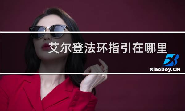 艾尔登法环指引在哪里