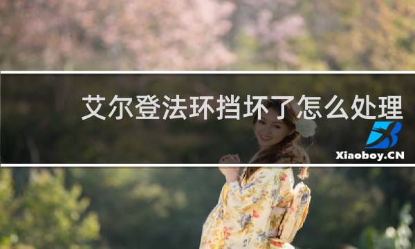 艾尔登法环挡坏了怎么处理