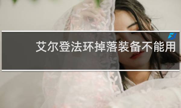 艾尔登法环掉落装备不能用