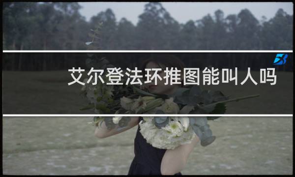 艾尔登法环推图能叫人吗