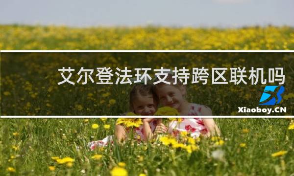 艾尔登法环支持跨区联机吗