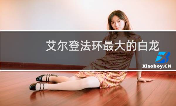 艾尔登法环最大的白龙