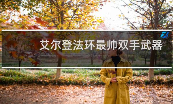 艾尔登法环最帅双手武器