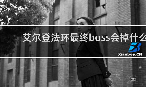 艾尔登法环最终boss会掉什么